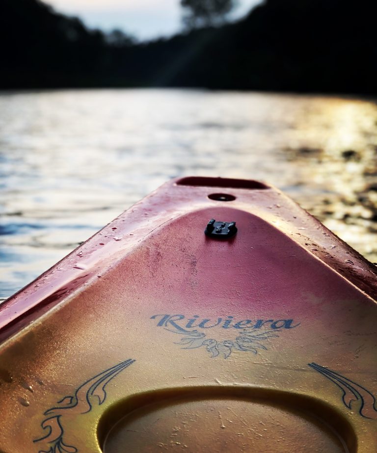 EFDB87DD 745F 45AD AB95 E1BCFC4CA33A 768x923