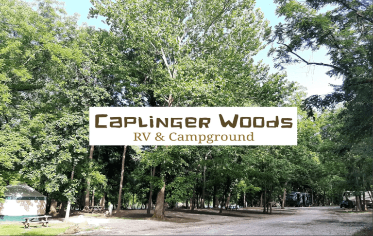 Caplinger woods 768x485
