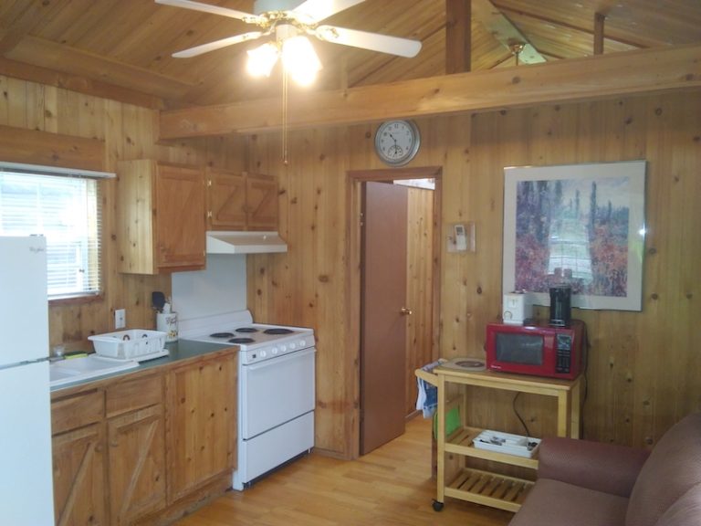 BSCcabin1 768x576
