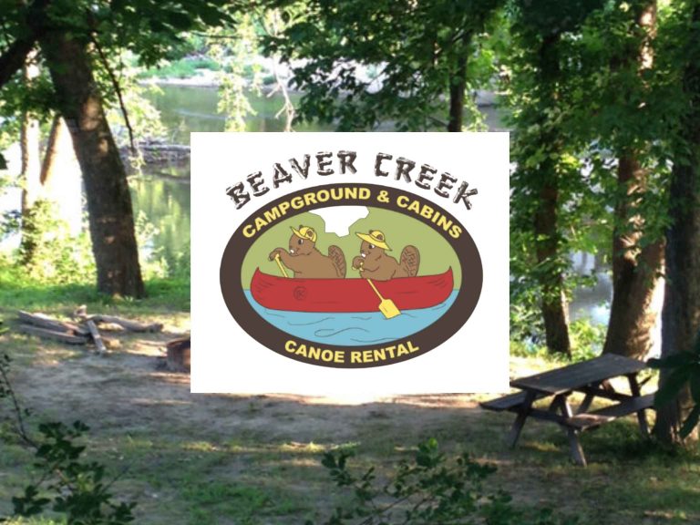 MCFA images 12 768x576