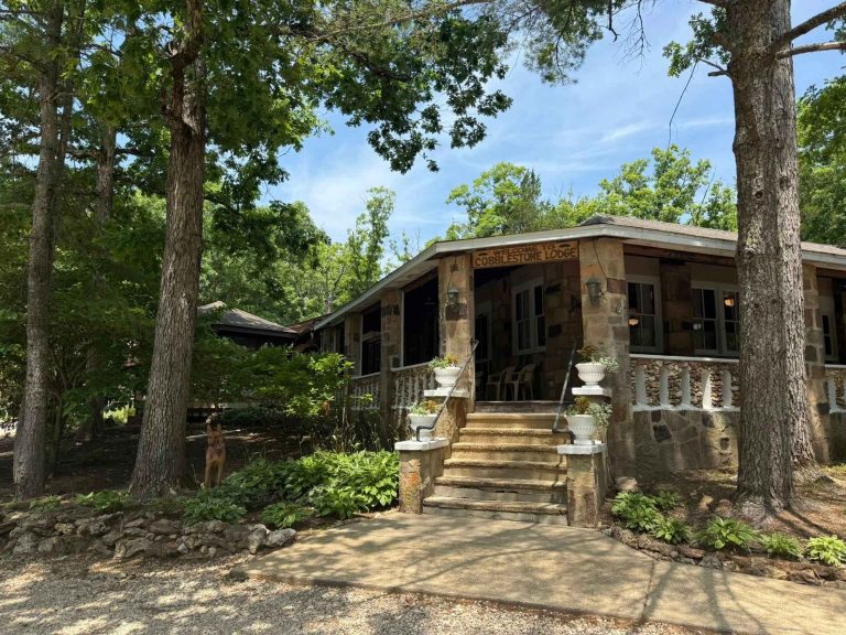 MCFA images 15 768x576