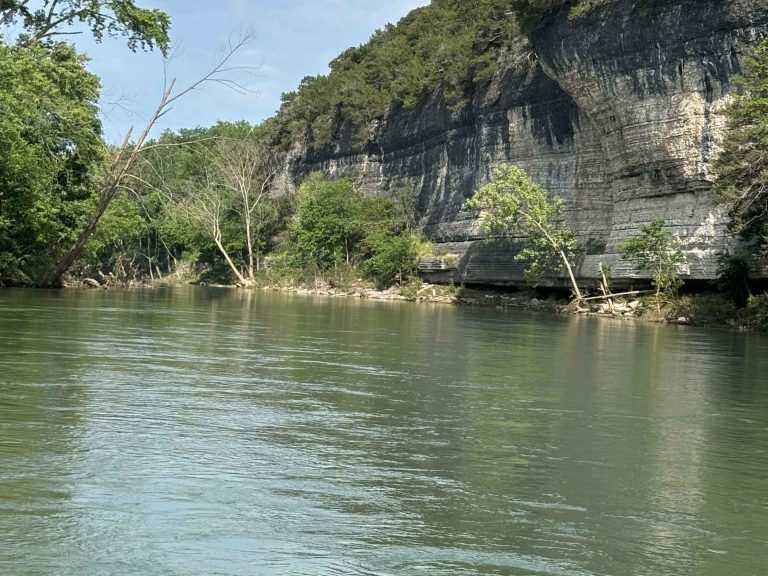 MCFA images 20 768x576