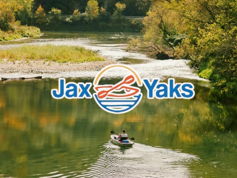 MCFA images 5 768x576